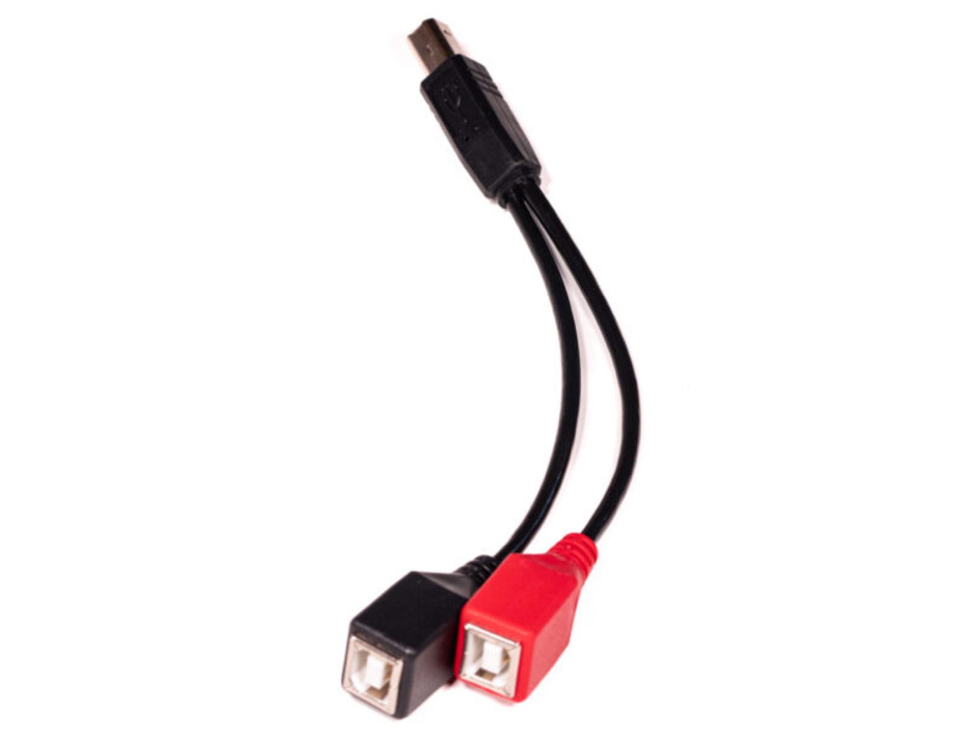 1010music USB B Splitter Cable for Bluebox