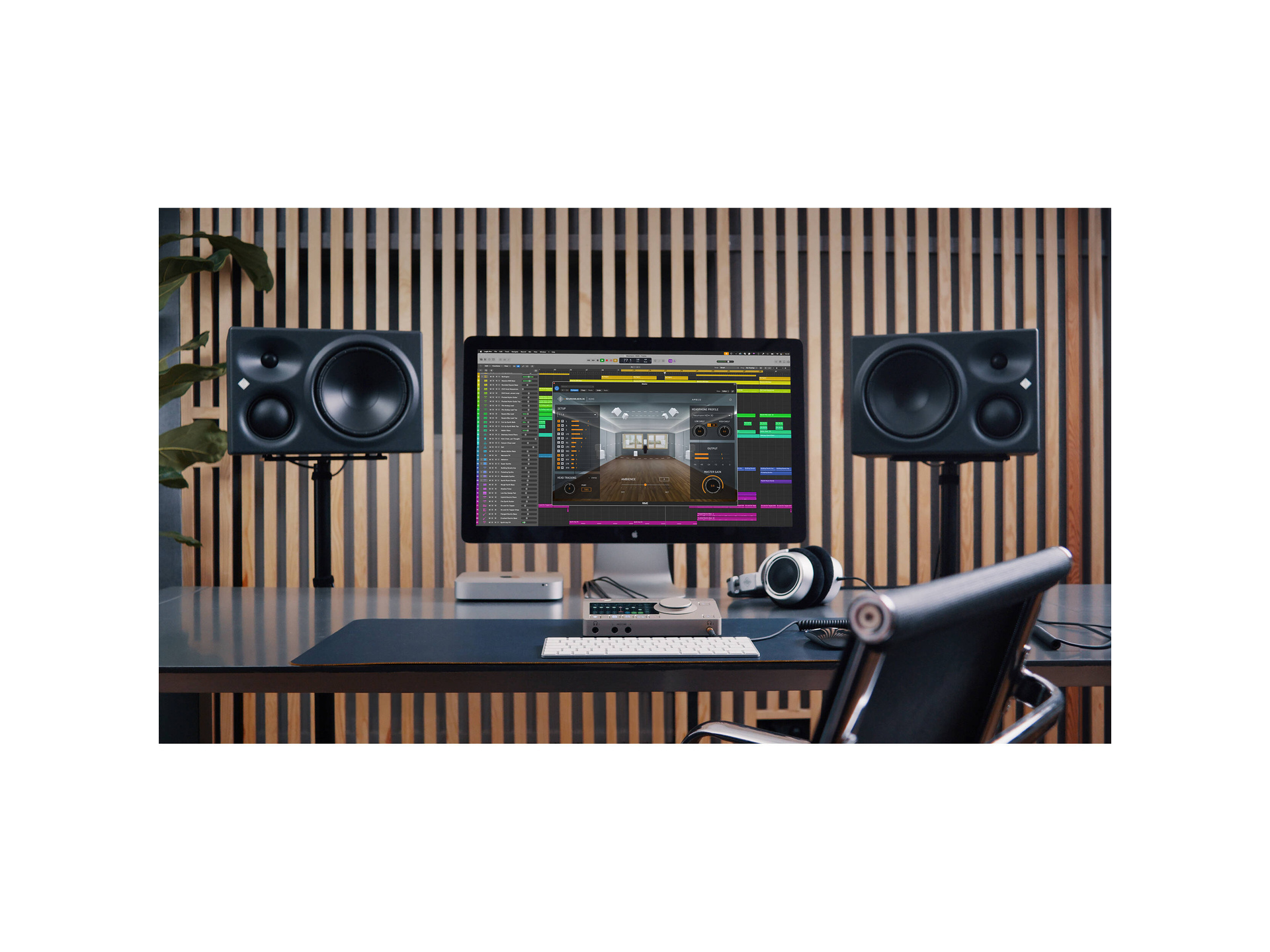 Neumann Studio Bundle (Limited Edition) | Rubber Monkey | NZ