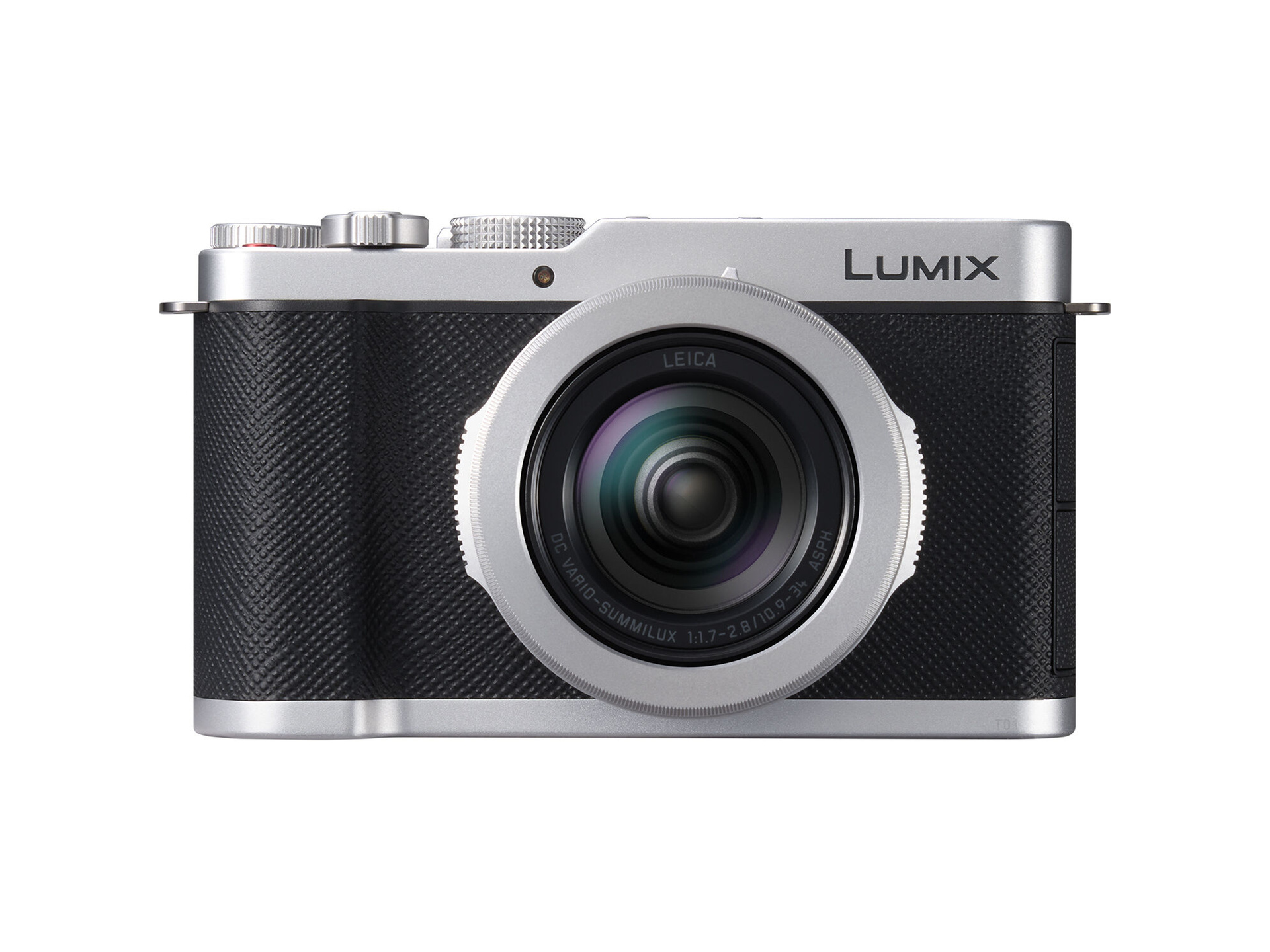 Panasonic LUMIX L10 Digital Camera (Silver)