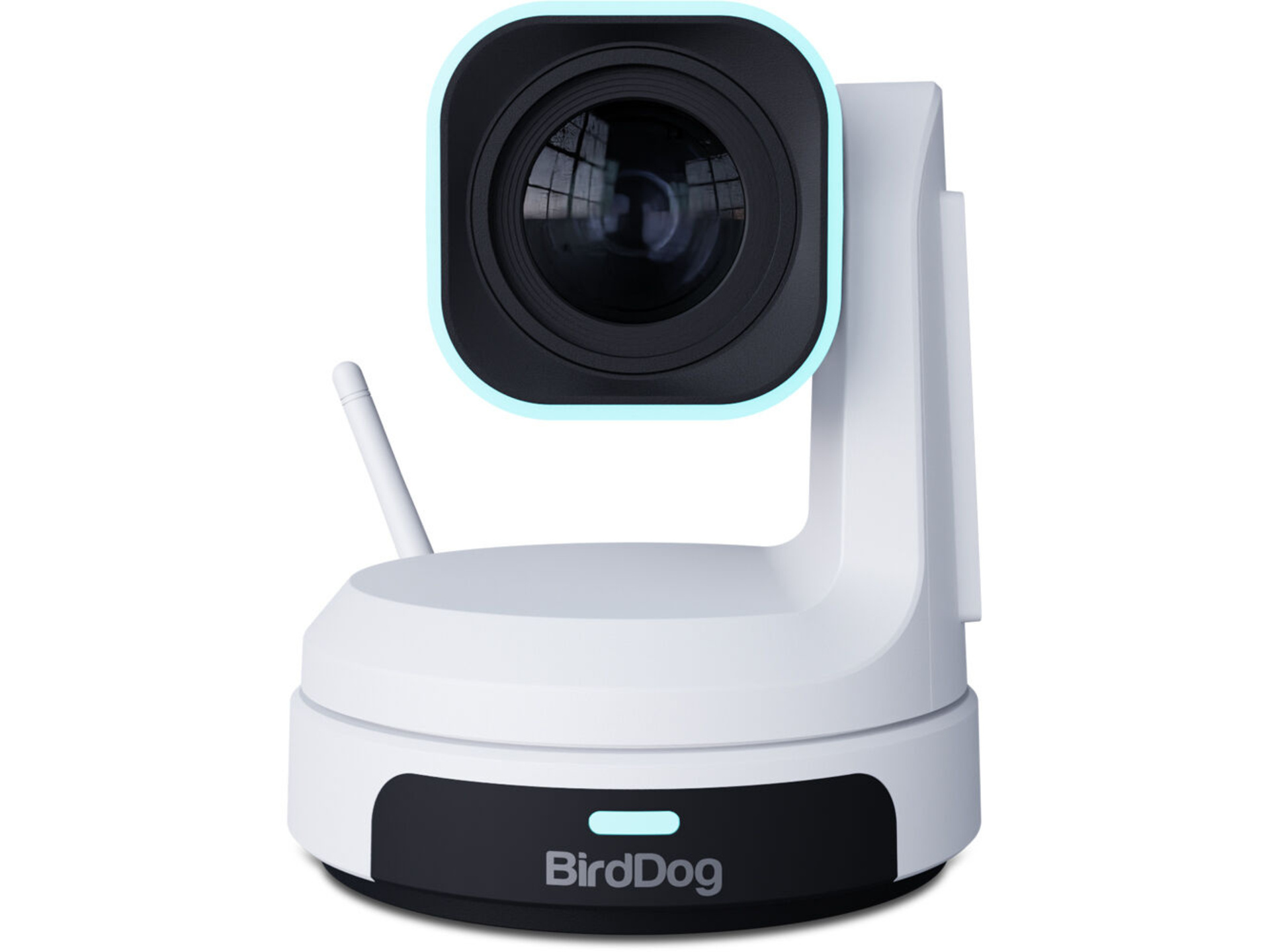 BirdDog X1 PTZ Camera with 30x Optical Zoom (White)