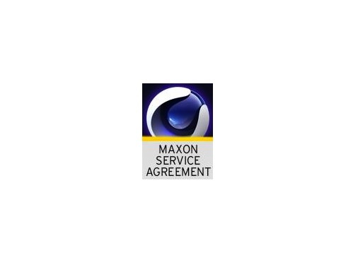 MAXON Service Agreement - Visualize - 12 Months (Download)