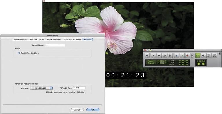 Avid Video Satellite LE