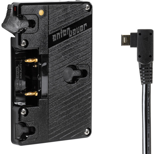 Wooden Camera Gold-Mount Plate for Sony FS700