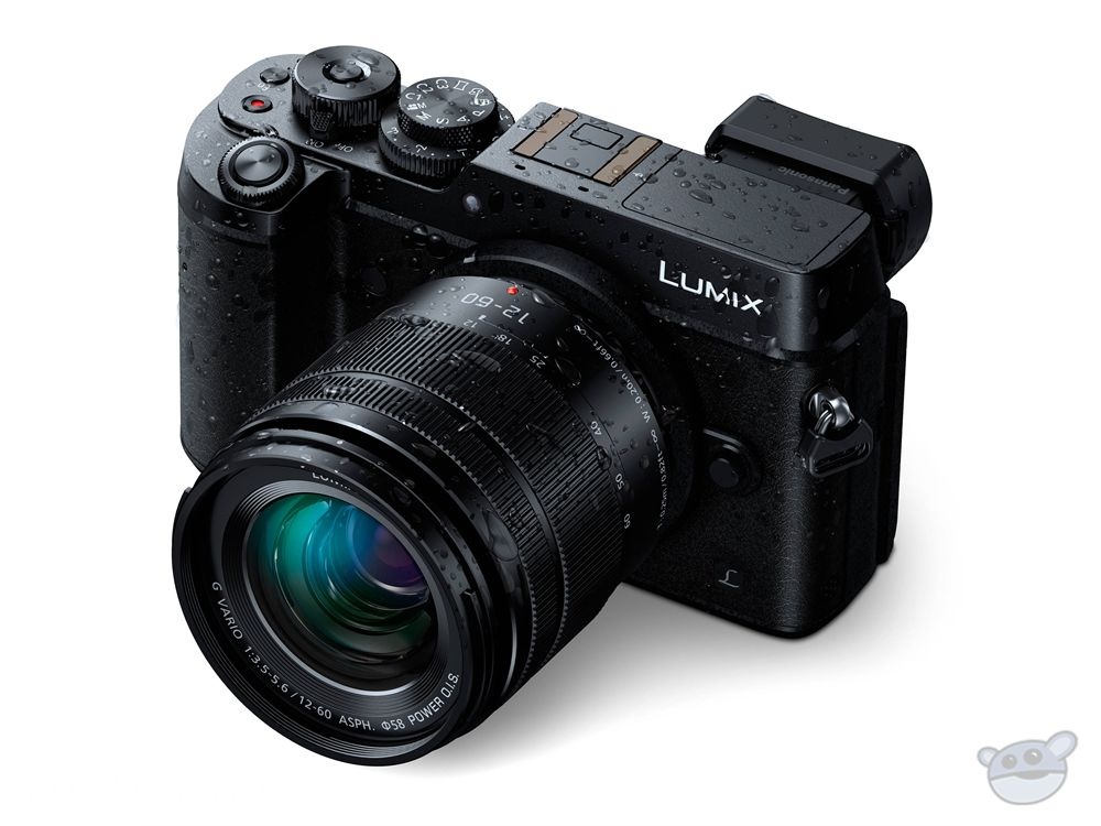 Panasonic Lumix G Vario 12-60mm f/3.5-5.6 ASPH. POWER O.I.S. Lens
