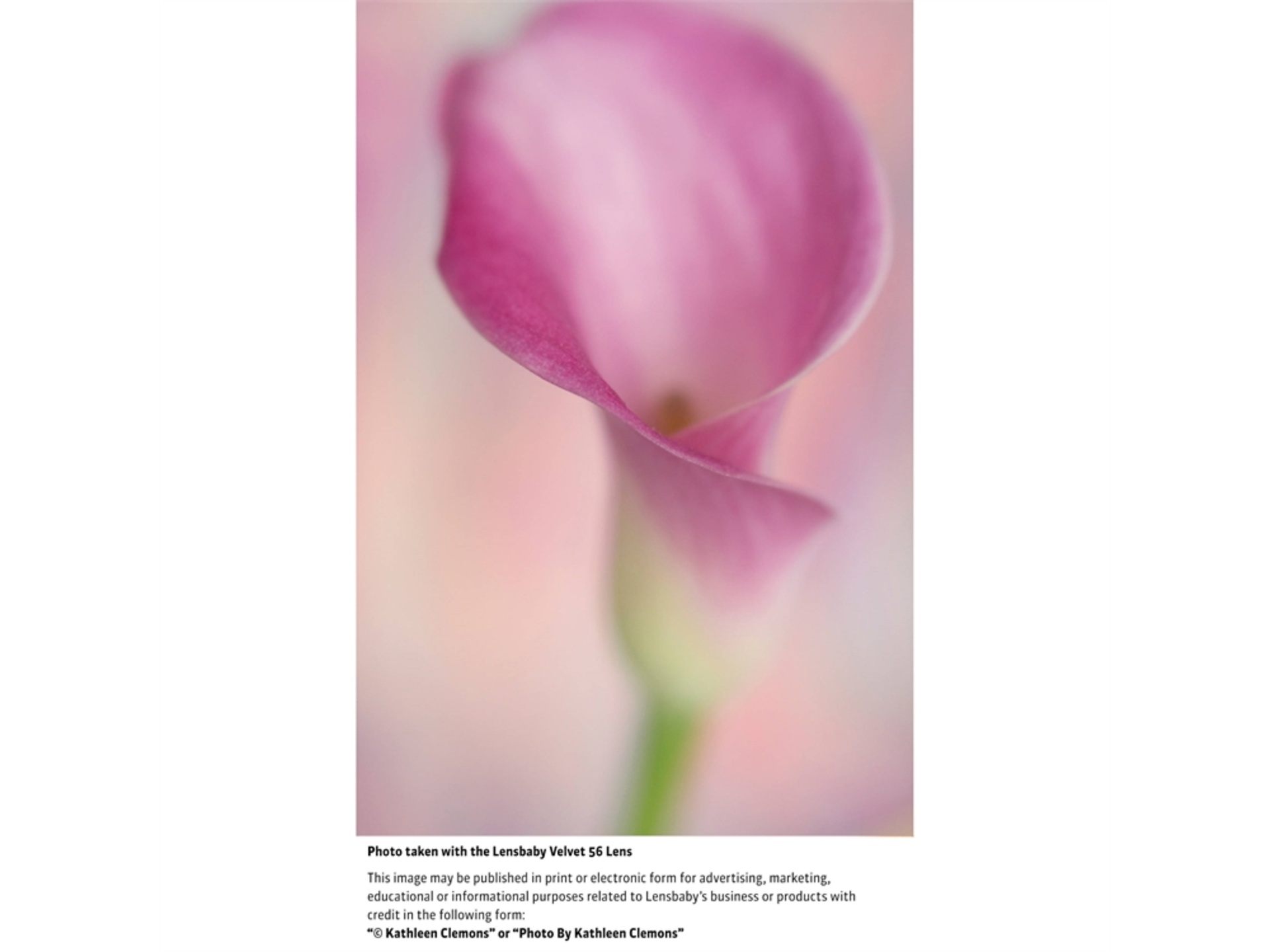 Lensbaby Velvet 56mm Lens for Fujifilm X NZ