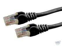 50M Cat6 Lead (Black)