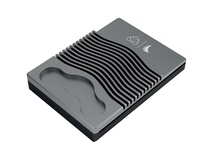 Angelbird Atomos Master Caddy 4K RAW (500GB)