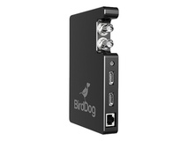 BirdDog Studio SDI/HDMI to Network Device Interface Converter (Standard)