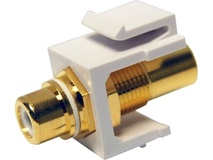 DYNAMIX RCA to RCA Gold Plated Keystone Adapter (White)