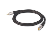 Canare RCAP001F SPDIF Video Cable (1' / 0.3 m)