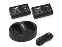 Wasabi Power Battery (2-pack) and Dual USB Charger for Panasonic DMW-BLJ31