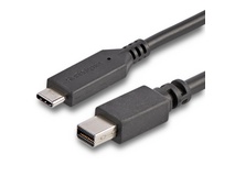 StarTech Cable USB C to Mini DisplayPort (1.8m)