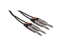 Hosa HSS-020X2 Pro 1/4'' Cable 20ft (Dual)