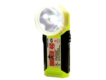 Pelican Big Ed Alkaline 4C, with PL Shroud - Photoluminescent