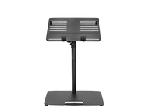 Gravity GLTST02B Universal Laptop Stand with Adjustable Holding Pins and Steel Base