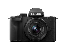 Panasonic Lumix G100D Mirrorless Camera with 12-32mm Lens
