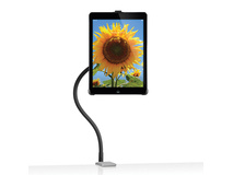 Twelve South HoverBar 3 for iPad