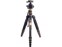 CAME-TV Q66C Carbon Fiber Tripod with Ball Head