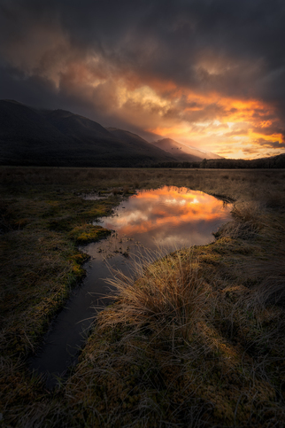 'Reflection' Photography Competition Winners