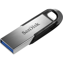 Sandisk USB Storage