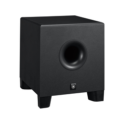 Speakers & P.A. Subwoofers
