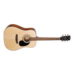 Guitar & Bass Acoustic Guitars