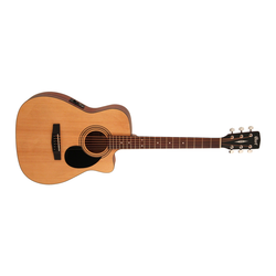 Guitar & Bass Electric Acoustic Guitars