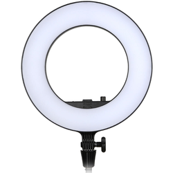 Flashes & On Camera Lights Macro & Ringlights