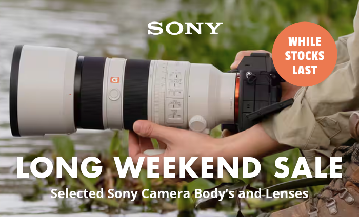 Sony DI October 2026 Scans