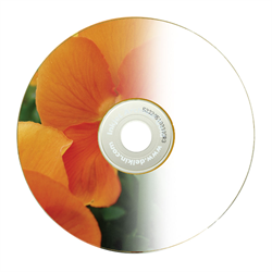 Hard Drives, SSD & Storage CD, DVD & Blu-Ray