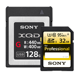 Sony Memory Cards & Storage